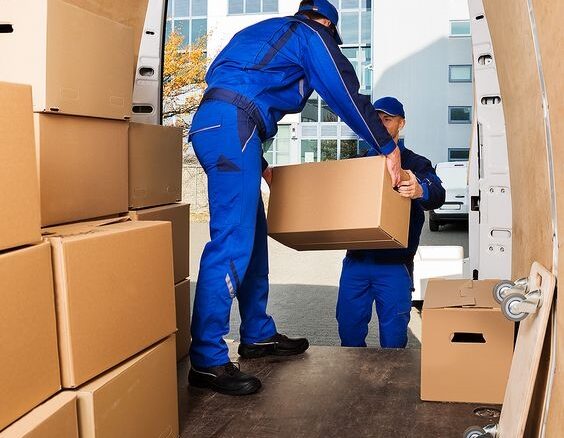 093d1cfb b145 452e b308 b19b009a946b